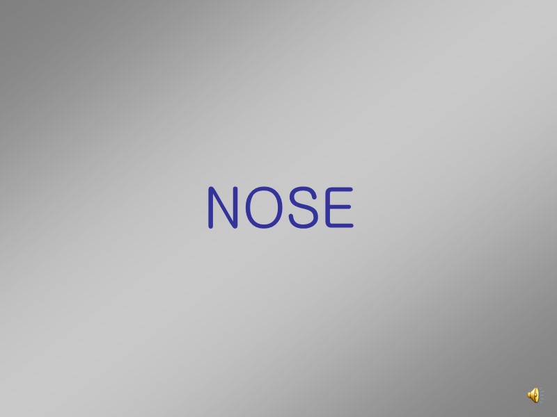 NOSE